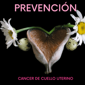 iDONA Clínica Ginecológica Revisión Ginecológica