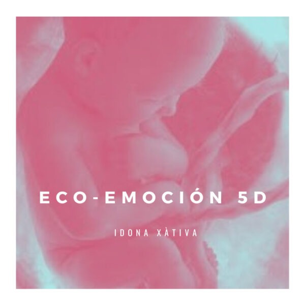 Ecografía 5D control de embarazo IDONA Xàtiva
